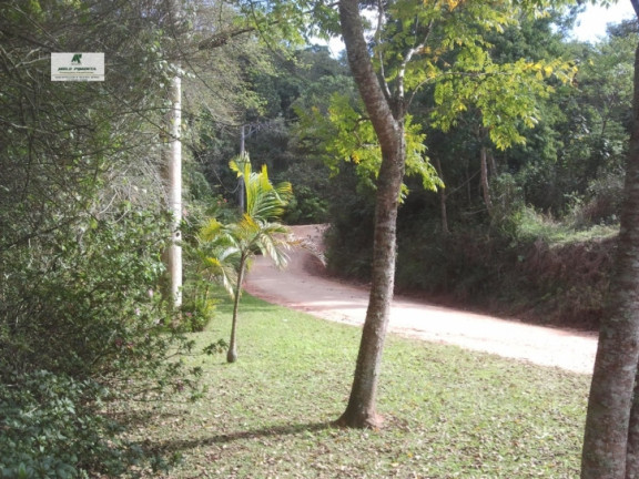 Imagem Chácara com 4 Quartos à Venda, 2.940 m² em Caetê - São Roque Imagem Chácara com 4 Quartos à Venda, 2.940 m² em Caetê - São Roque