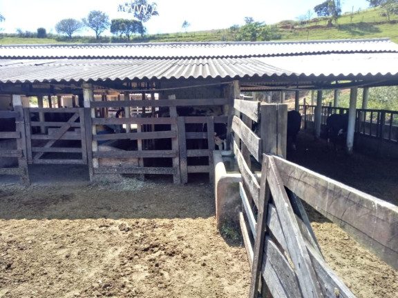 Imagem Imóvel com 3 Quartos à Venda, 242.000 m² em Cachoeira - Atibaia Imagem Imóvel com 3 Quartos à Venda, 242.000 m² em Cachoeira - Atibaia