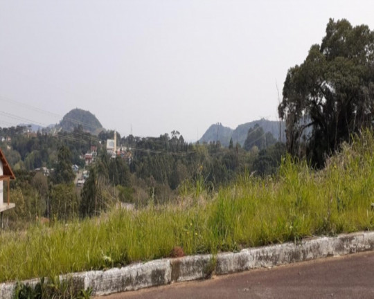 Imagem Imóvel à Venda, 505 m² em Vale Verde - Nova Petrópolis