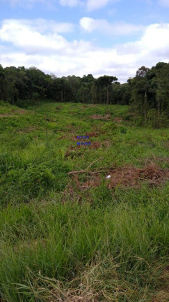 Imagem Terreno à Venda, 5.000 m² em Pedro Machado - Contenda Imagem Terreno à Venda, 5.000 m² em Pedro Machado - Contenda