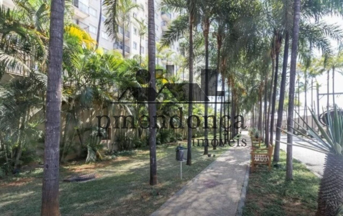 Imagem Apartamento com 2 Quartos à Venda, 60 m² em água Branca - São Paulo Imagem Apartamento com 2 Quartos à Venda, 60 m² em água Branca - São Paulo