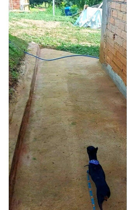 Imagem Chácara com 3 Quartos à Venda, 240 m² em Zona Rural - Goiânia