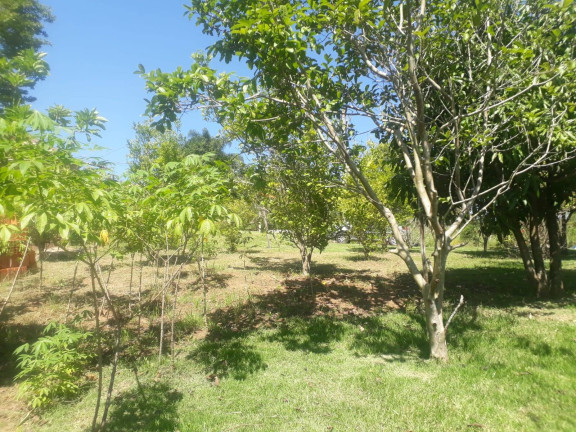 Imagem Casa à Venda, 1.000 m² em Barreiro - Piedade Imagem Casa à Venda, 1.000 m² em Barreiro - Piedade