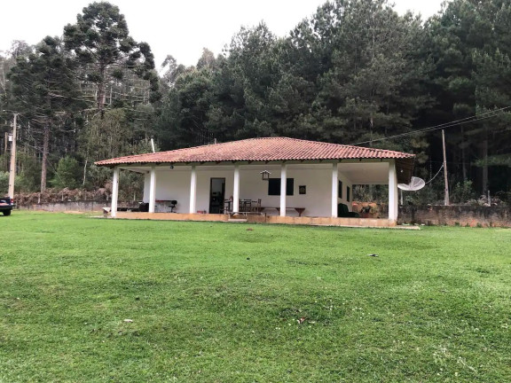 Imagem Imóvel com 2 Quartos à Venda, 52.400 m² em Centro - Rio Negro