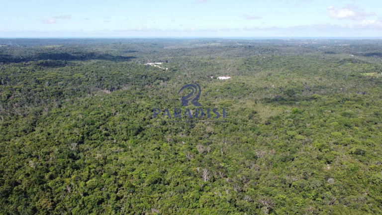 Imagem Fazenda à Venda, 592.700 m² em Monte Gordo (monte Gordo) - Camaçari