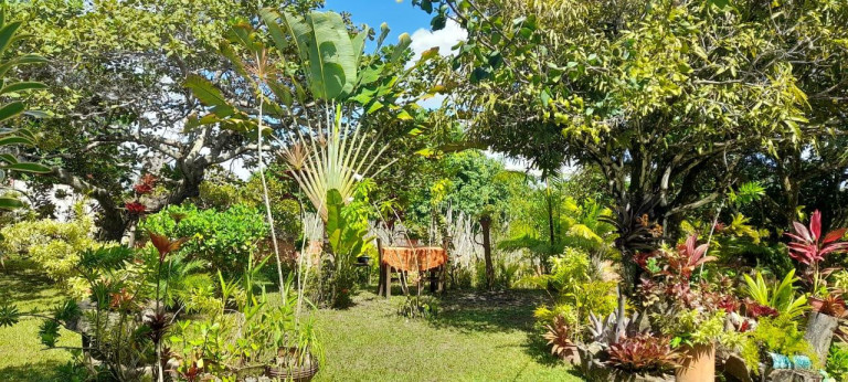 Imagem Chácara com 3 Quartos à Venda, 5.700 m² em Barra Do Pojuca (monte Gordo) - Camaçari Imagem Chácara com 3 Quartos à Venda, 5.700 m² em Barra Do Pojuca (monte Gordo) - Camaçari