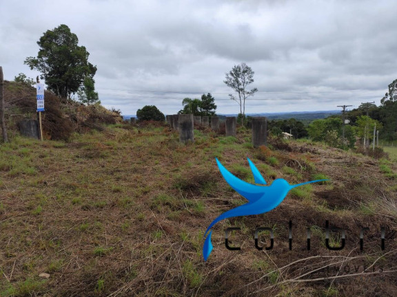 Imagem Chácara à Venda, 1.626 m² em Ximbuva - Agudos Do Sul