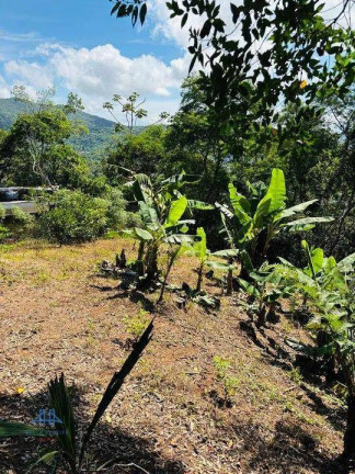 Terreno à Venda, 525 m² em Córrego Grande - Florianópolis