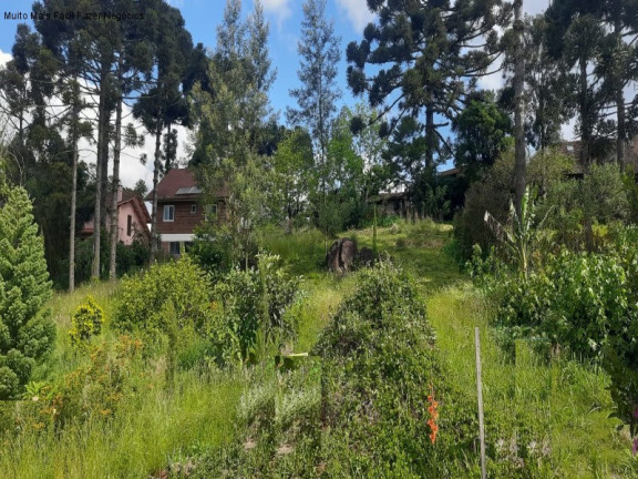 Terreno à Venda, 554 m² em Recanto Do Sossego - Nova Petrópolis