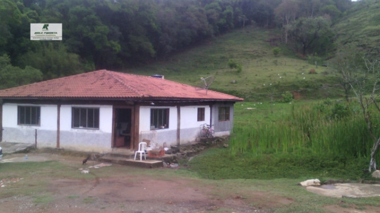 Imagem Fazenda à Venda, 5.000 m² em Planalto Verde - São Roque Imagem Fazenda à Venda, 5.000 m² em Planalto Verde - São Roque
