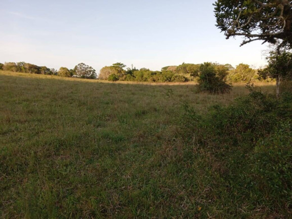 Imagem Chácara à Venda, 47.000 m² em Itapuã - Viamão Imagem Chácara à Venda, 47.000 m² em Itapuã - Viamão