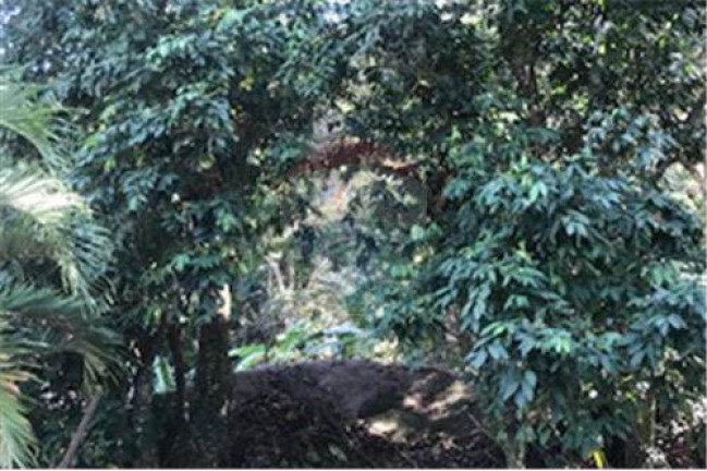 Imagem Terreno à Venda, 600 m² em Vargem Pequena - Rio De Janeiro