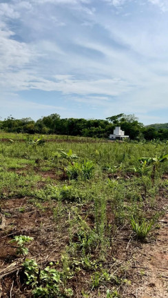 Imagem Imóvel com 2 Quartos à Venda, 4.550 m² em Centro - Jaraguá