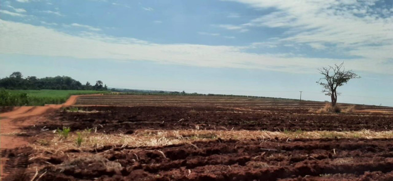 Imagem Fazenda à Venda, 2 m² em Vila Tazitsu - Presidente Prudente Imagem Fazenda à Venda, 2 m² em Vila Tazitsu - Presidente Prudente