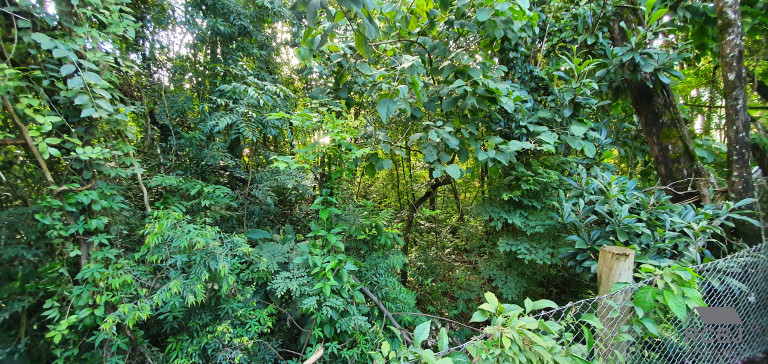 Imagem Terreno à Venda, 1.000 m² em Retiro Do Chalé - Brumadinho