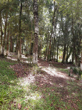 Imagem Chácara com 2 Quartos à Venda, 1 m² em Batata Doce - Piedade