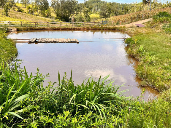 Imagem Chácara com 2 Quartos à Venda, 6 m² em Morungava - Gravataí