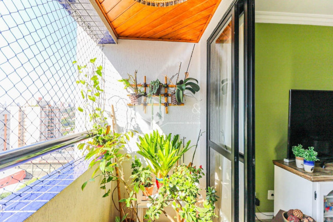 Imagem Apartamento com 2 Quartos à Venda, 70 m² em Vila Ipojuca - São Paulo Imagem Apartamento com 2 Quartos à Venda, 70 m² em Vila Ipojuca - São Paulo