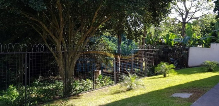 Imagem Apartamento com 1 Quarto à Venda, 35 m² em Vila Amelia - Ribeirão Preto Imagem Apartamento com 1 Quarto à Venda, 35 m² em Vila Amelia - Ribeirão Preto