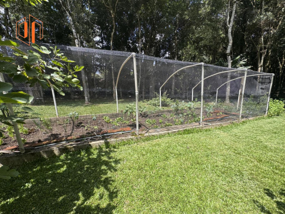 Imagem Imóvel com 2 Quartos à Venda, 6.000 m² em Loteamento Chácara Chantecler - Piraquara