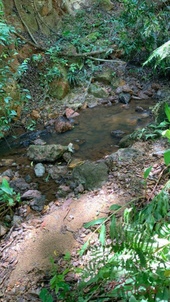 Imagem Fazenda à Venda, 5 m² em área Rural De Lorena - Lorena