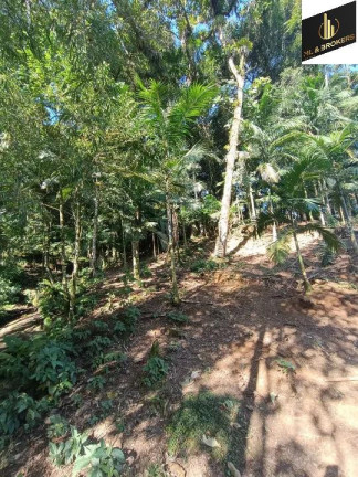 Imagem Imóvel com 2 Quartos à Venda, 182.000 m² em Zona Rural - Tunas Do Parana Imagem Imóvel com 2 Quartos à Venda, 182.000 m² em Zona Rural - Tunas Do Parana