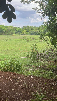 Imagem Fazenda à Venda, 60 m² em Setor Central - Santa Helena De Goiás