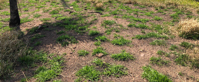 Imagem Terreno à Venda, em Nazaré Paulista Imagem Terreno à Venda, em Nazaré Paulista