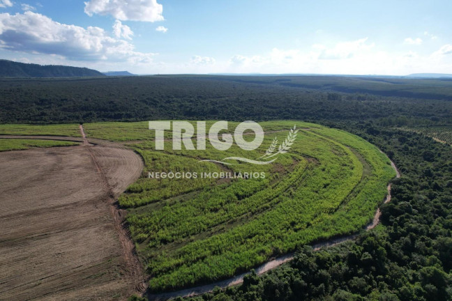 Imagem Fazenda à Venda, 90 m² em Zona Rural - Santa Rosa De Viterbo Imagem Fazenda à Venda, 90 m² em Zona Rural - Santa Rosa De Viterbo