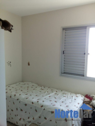 Imagem Apartamento com 3 Quartos à Venda, 66 m² em Limão - São Paulo
