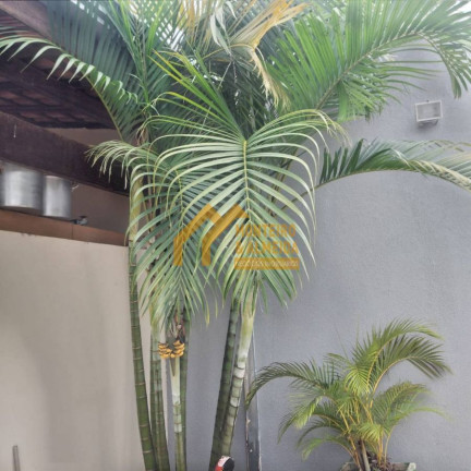 Imagem Casa com 3 Quartos à Venda, 320 m² em Vila Carolina - Itapetininga Imagem Casa com 3 Quartos à Venda, 320 m² em Vila Carolina - Itapetininga