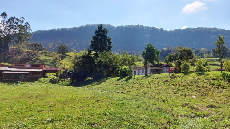 Imagem Imóvel com 3 Quartos à Venda, 100.000 m² em Zona Rural - Agrolândia