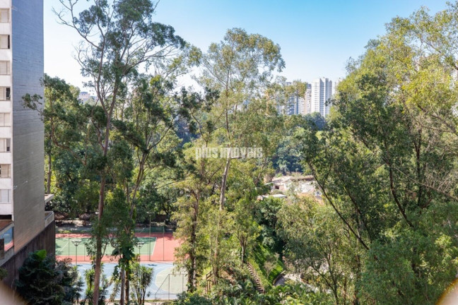 Imagem Apartamento com 3 Quartos à Venda, 115 m² em Panamby - São Paulo