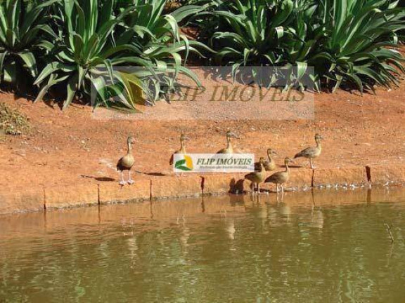 Imagem Casa com 4 Quartos à Venda, 810 m² em Barão Geraldo - Campinas