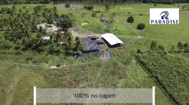 Imagem Fazenda à Venda, 766.000 m² em Zona Rural - Cardeal Da Silva Imagem Fazenda à Venda, 766.000 m² em Zona Rural - Cardeal Da Silva