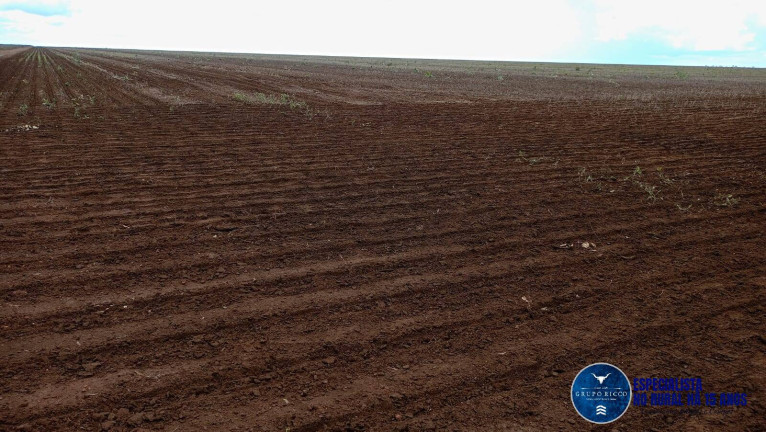 Imagem Fazenda à Venda, 2 m² em Zona Rural - Caxias Imagem Fazenda à Venda, 2 m² em Zona Rural - Caxias