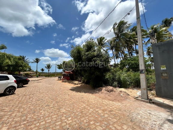 Terreno à Venda, 2.400 m² em Praia Da Xepa - São Miguel Do Gostoso