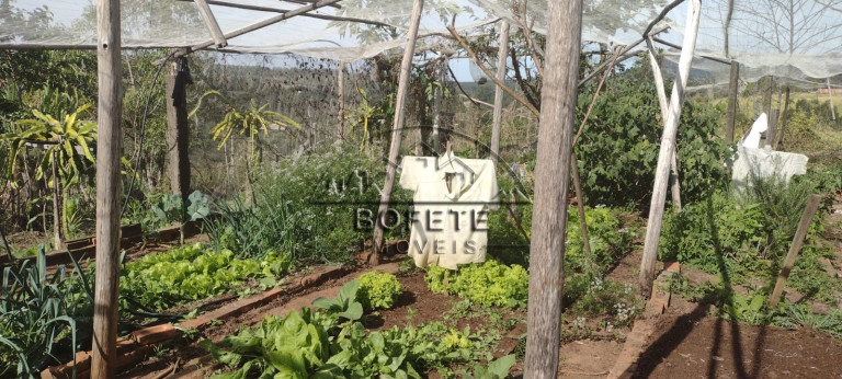 Imagem Imóvel com 3 Quartos à Venda, 22.800 m² em São Marcos - Bofete