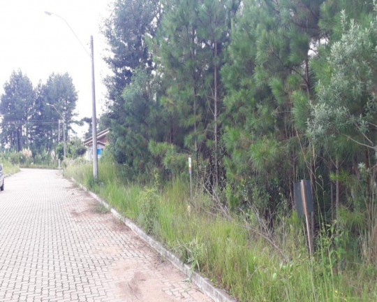 Imagem Imóvel à Venda, 384 m² em Vila Germânia - Nova Petrópolis