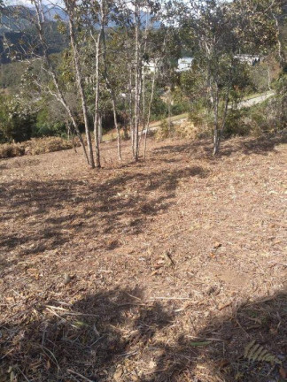 Imagem Terreno à Venda, 424 m² em Albuquerque - Teresópolis Imagem Terreno à Venda, 424 m² em Albuquerque - Teresópolis