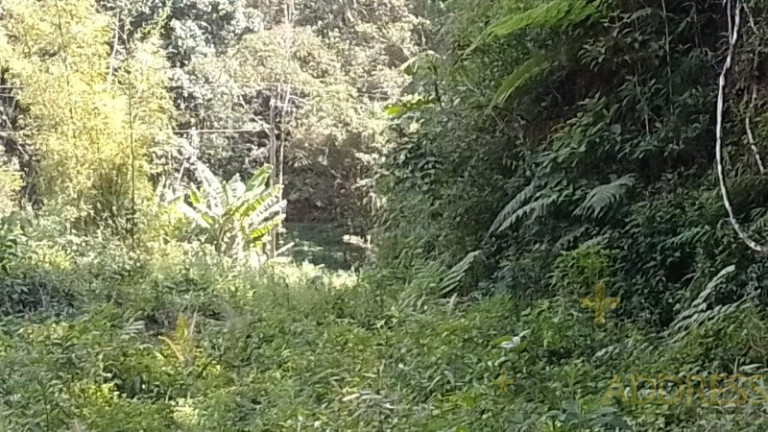 Imagem Imóvel com 1 Quarto à Venda, 20.000 m² em Marechal Floriano - Marechal Floriano