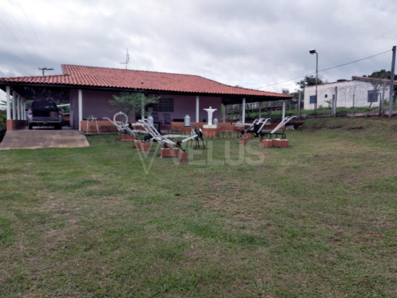Imagem Imóvel com 1 Quarto à Venda, 216 m² em Campo Grande - Itapetininga Imagem Imóvel com 1 Quarto à Venda, 216 m² em Campo Grande - Itapetininga