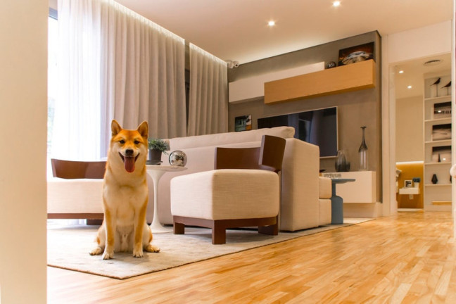 Imagem Imóvel com 2 Quartos à Venda, 65 m² em Vila Mascote - São Paulo Imagem Imóvel com 2 Quartos à Venda, 65 m² em Vila Mascote - São Paulo