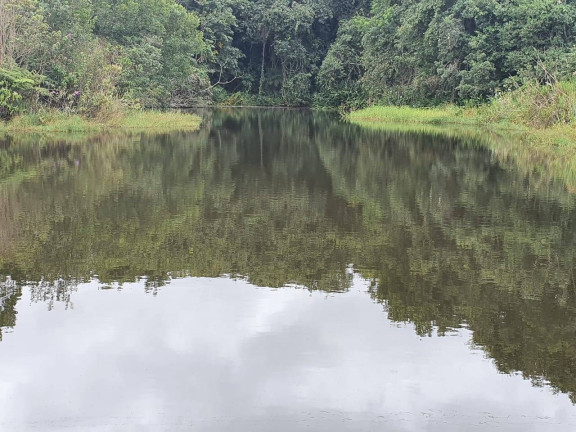Imagem Fazenda à Venda, 2 m² em Vila Tazitsu - Presidente Prudente Imagem Fazenda à Venda, 2 m² em Vila Tazitsu - Presidente Prudente