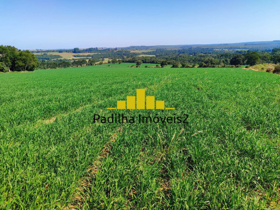 Imagem Fazenda à Venda, 136 m² em Capão Bonito