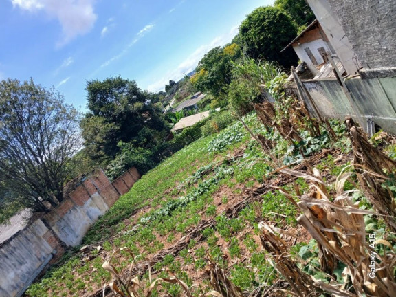 Imagem Terreno à Venda, 262 m² em Uvaranas - Ponta Grossa Imagem Terreno à Venda, 262 m² em Uvaranas - Ponta Grossa