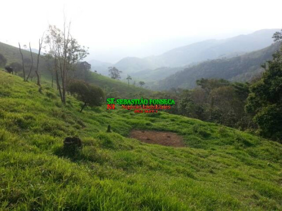 Imagem Chácara à Venda, 20.000 m² em São Francisco Xavier - São José Dos Campos Imagem Chácara à Venda, 20.000 m² em São Francisco Xavier - São José Dos Campos