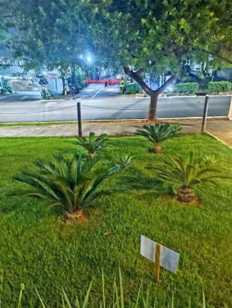 Imagem Apartamento com 2 Quartos à Venda, 49 m² em Jardim Iris - Sao Paulo