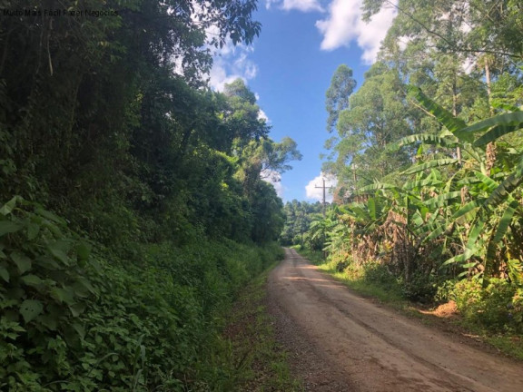 Imagem Terreno à Venda, 3 m² em Linha Olinda - Nova Petrópolis