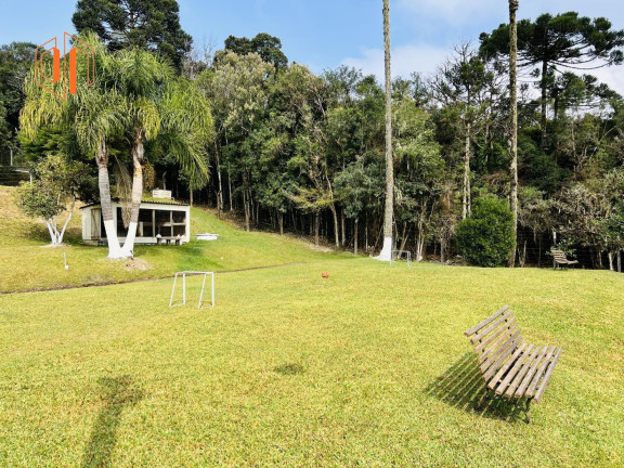 Imagem Imóvel à Venda, 4.000 m² em Borda Do Campo - São José Dos Pinhais